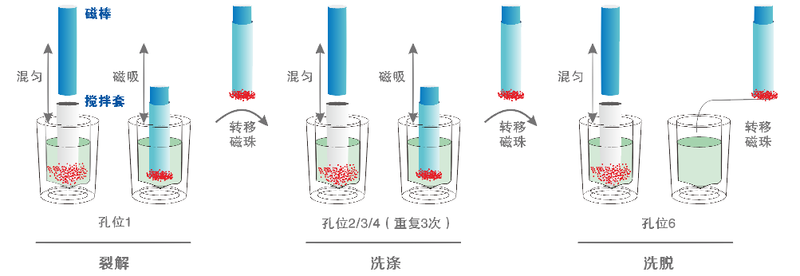 (超敏)磁珠法核酸提取系统